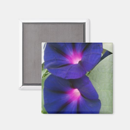 Bloemmagneet voor koelkast magneet (Voorkant / Achterkant)