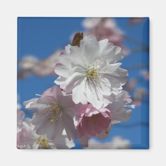 Bloemmagneten Magneet (Voorkant)