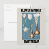 Bloemmarkt Amsterdam  Tulp Briefkaart (Voorkant / Achterkant)