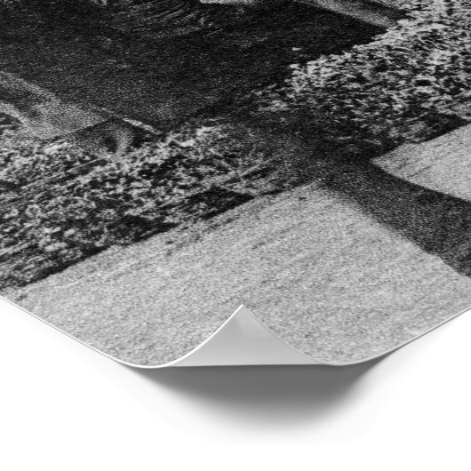  bloemmarkt Brussel 1900 Poster (Hoek)