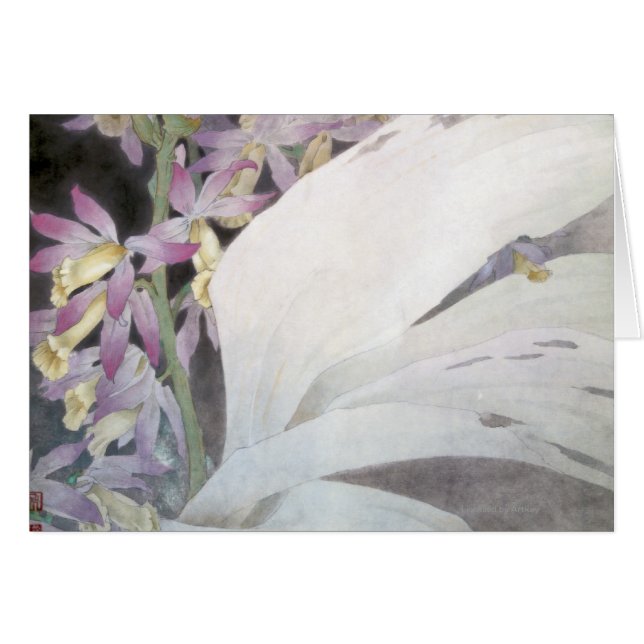 Bloemmelders II- faiussen (Voorkant Horizontaal)