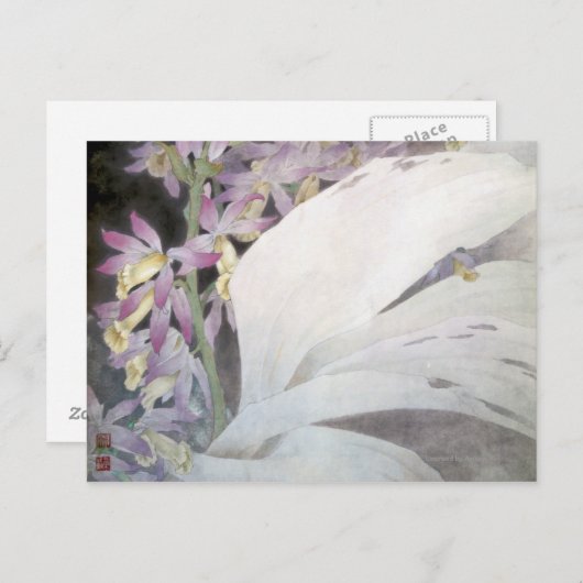 Bloemmelders II- faiussen Briefkaart (Voorkant / Achterkant)