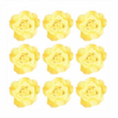 Bloemmotieven Gele Roos Kleurrijk Decoratief Sticker (Voorkant)