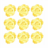 Bloemmotieven Gele Roos Kleurrijk Helder Trend Sticker (Voorkant)