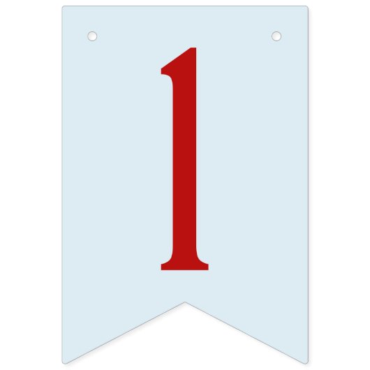 Bloempartij: Puerto Ricaanse vlag Vlaggetjes (Tweede vlag)