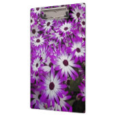 Bloempatroon, Kuekenhof tuinen, Lisse Klembord (Links)