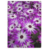 Bloempatroon, Kuekenhof tuinen, Lisse Klembord (Achterkant)