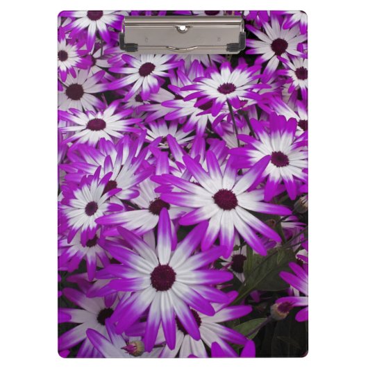 Bloempatroon, Kuekenhof tuinen, Lisse Klembord (Voorkant)