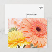 Bloemperzik Sinaasappel en geel gerbera madeliefje Briefkaart (Voorkant / Achterkant)