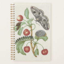 bloemplanner met mot en rups planner