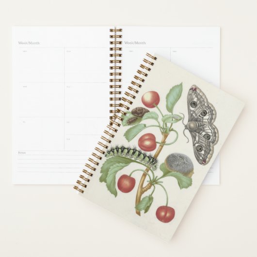  bloemplanner met mot en rups planner (Display)