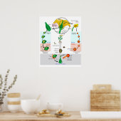 Bloemplant Angiosperm Levenscyclus Diagram Poster (Keuken)