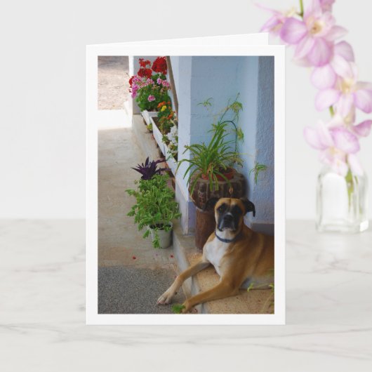 Bloemportret van een hond kaart (Orchidee)