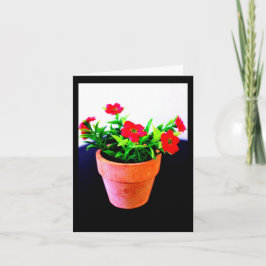 Bloempotje