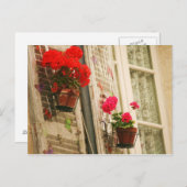 bloempotten briefkaart (Voorkant / Achterkant)
