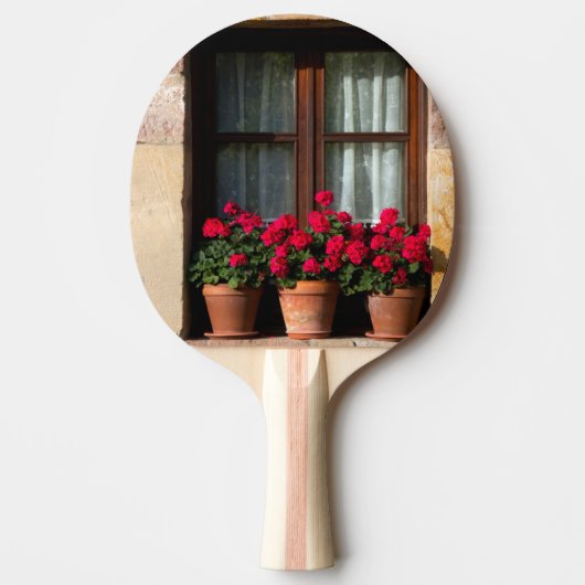 Bloempotten in het raam in dorp tafeltennisbatje (Voorkant)