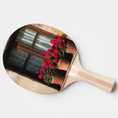 Bloempotten in het raam in dorp tafeltennisbatje (Zijkant)
