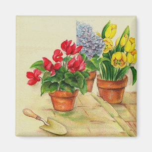 Bloempotten, Magneet