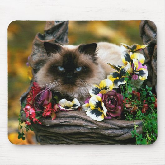 Bloempottenkat Mousepad Muismat (Voorkant)