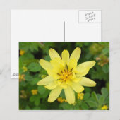 Bloemreeks 2007 briefkaart (Voorkant / Achterkant)