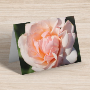 Bloemrijke Blank Binnen Perzik Elegant Gevouwen Notitiekaartje