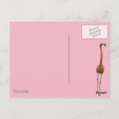 Bloemrijke Flamingo Briefkaart (Achterkant)