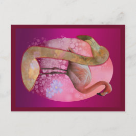 Bloemrijke Flamingo Briefkaart