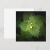 Bloemrijke natuurfoto (Voorkant / Achterkant)
