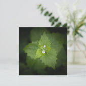 Bloemrijke natuurfoto (Staand voorkant)