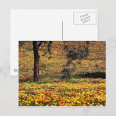 Bloemrijke Weide Briefkaart (Voorkant / Achterkant)