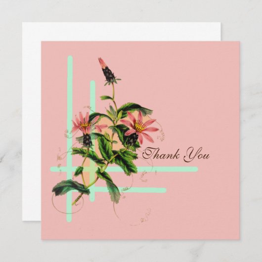 Bloemroze (Voorkant / Achterkant)