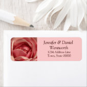 Bloemroze Adresetiketten Roze roze roze Etiket (Insitu)