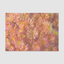 Bloemroze gele chrysant  decoupage