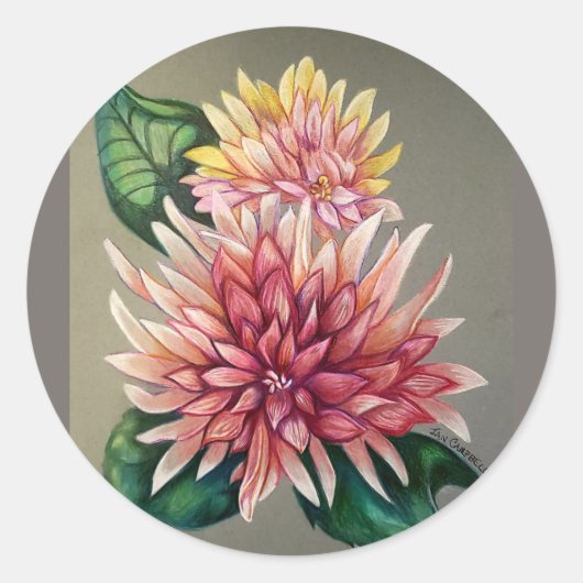Bloemroze Japanse chrysanthemumtekening Ronde Sticker (Voorkant)