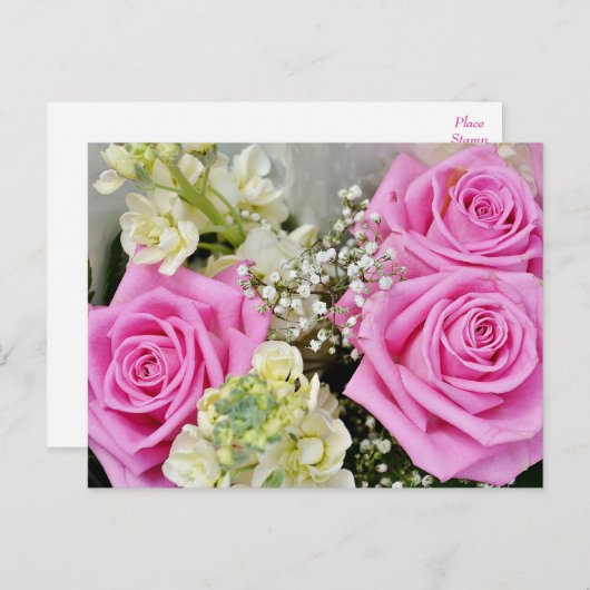 Bloemroze Rose Bloem Blank Briefkaart (Voorkant / Achterkant)