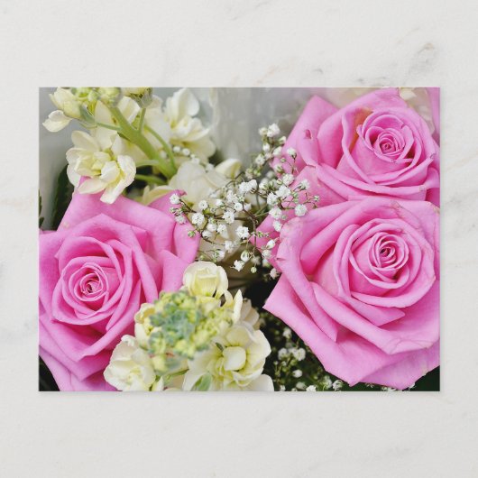 Bloemroze Rose Bloem Blank Briefkaart (Voorkant)