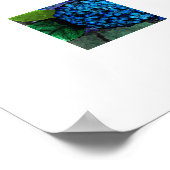 Bloemschikking Blauwe Hortensia Bloem Poster (Hoek)