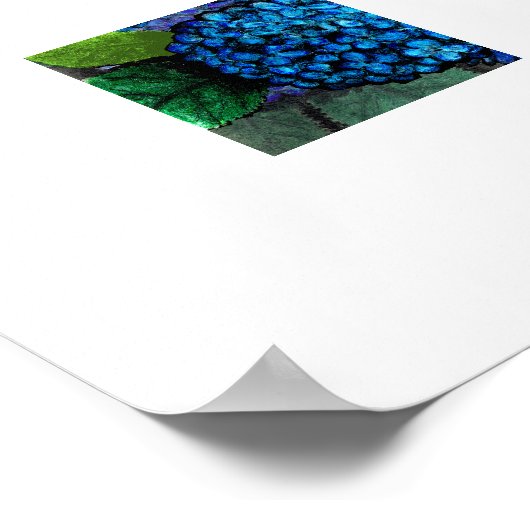 Bloemschikking Blauwe Hortensia Bloem Poster (Hoek)