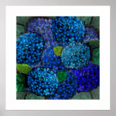 Bloemschikking Blauwe Hortensia Bloem Poster (Voorkant)