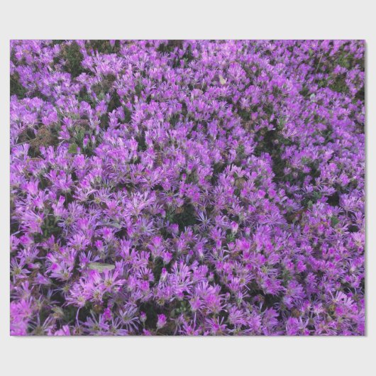 Bloemschikking in Paars Cadeaupapier (Vlak)