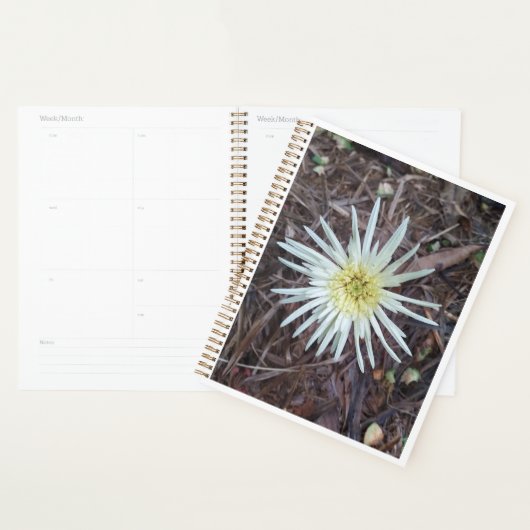 BLOEMSCHOONHEID VOOR NATUUR LIEFDESCADEAU PLANNER (Display)