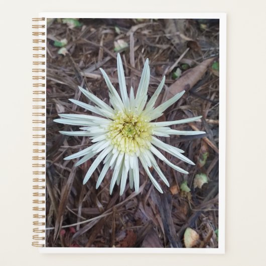 BLOEMSCHOONHEID VOOR NATUUR LIEFDESCADEAU PLANNER (Voorkant)