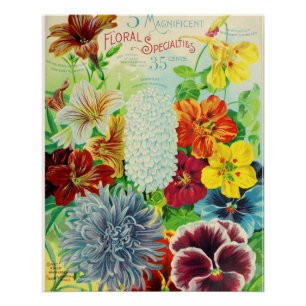 bloemspecialiteiten perfect poster