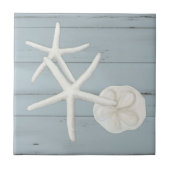 Bloemstaartschelp Sanddollar Shells Dusty Blue Woo Tegeltje (Voorkant)