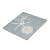 Bloemstaartschelp Sanddollar Shells Dusty Blue Woo Tegeltje (Zijkant)