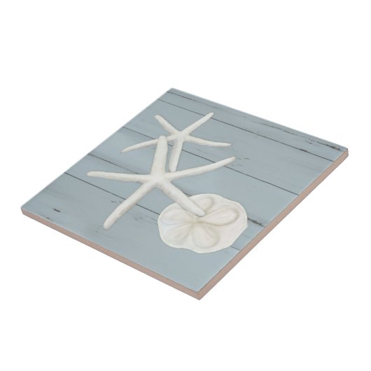 Bloemstaartschelp Sanddollar Shells Dusty Blue Woo Tegeltje (Zijkant)