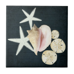 Bloemstaarvis Sanddollar Conch Shells Navy Wood Tegeltje