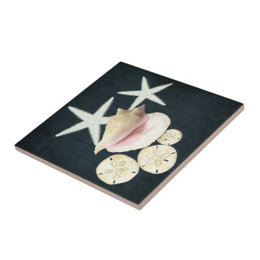 Bloemstaarvis Sanddollar Conch Shells Navy Wood Tegeltje (Zijkant)