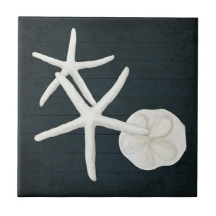 Bloemstaarvis Sanddollar Shells Navy Blue Wood Tegeltje