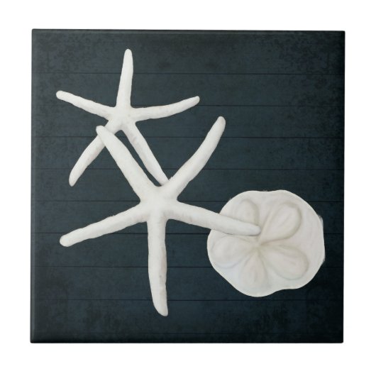 Bloemstaarvis Sanddollar Shells Navy Blue Wood Tegeltje (Voorkant)